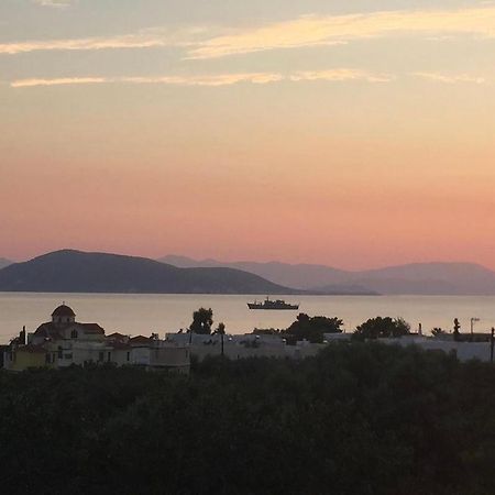 Apartament Pepper Tree Aegina Zewnętrze zdjęcie